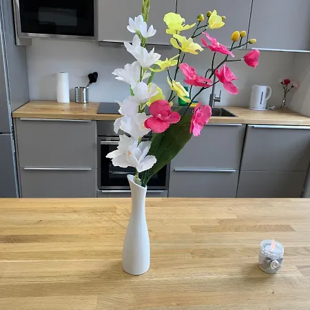 Guest house Duesseldorf 5 Min To Train Station Private Dusseldorf